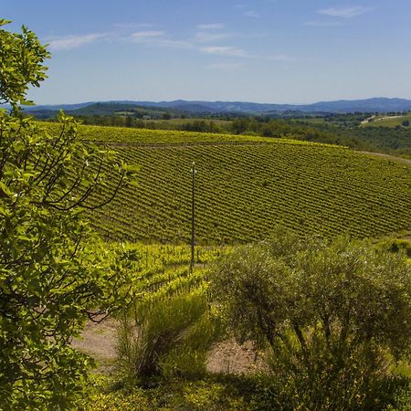 马利亚诺因托斯卡纳Fattoria Di Magliano Winery别墅 客房 照片
