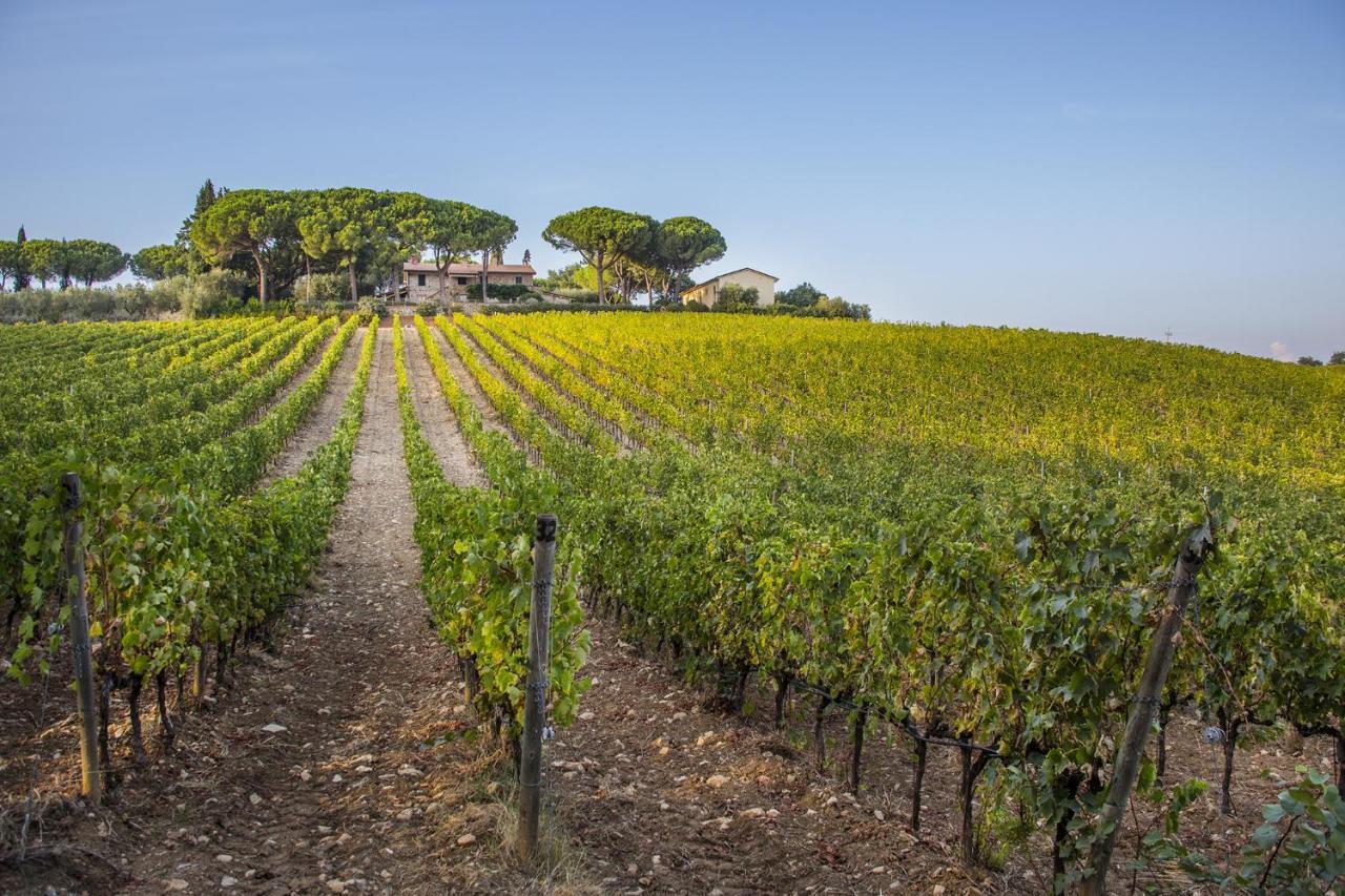 马利亚诺因托斯卡纳Fattoria Di Magliano Winery别墅 外观 照片