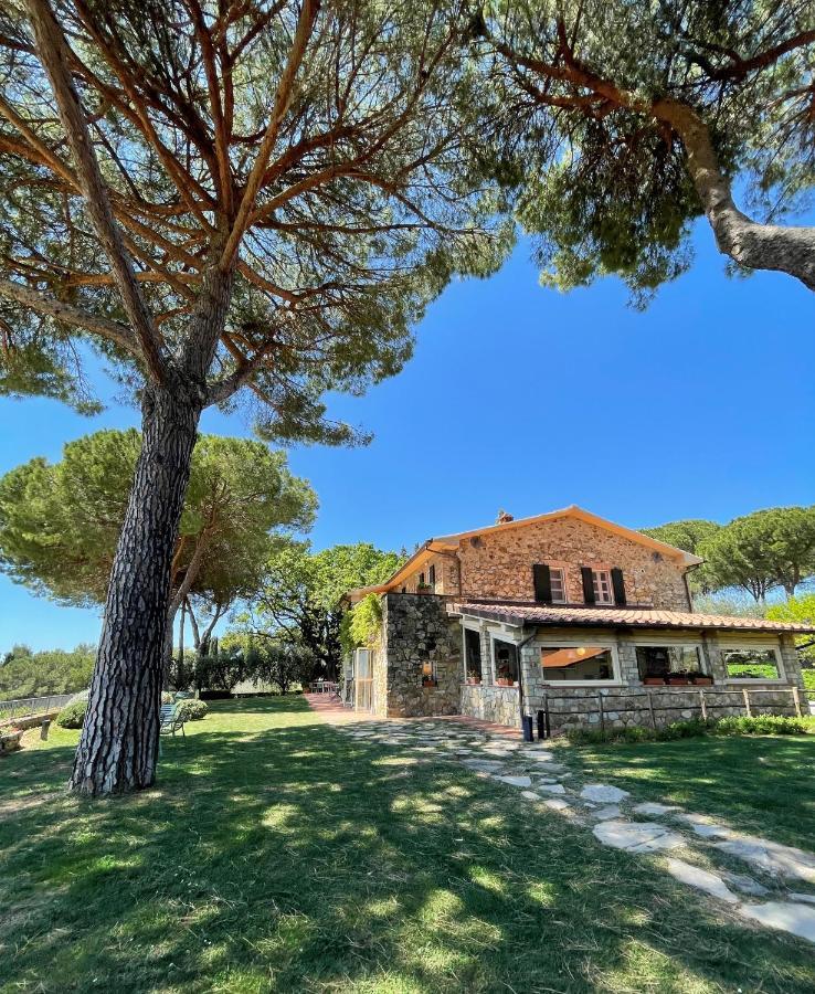 马利亚诺因托斯卡纳Fattoria Di Magliano Winery别墅 外观 照片