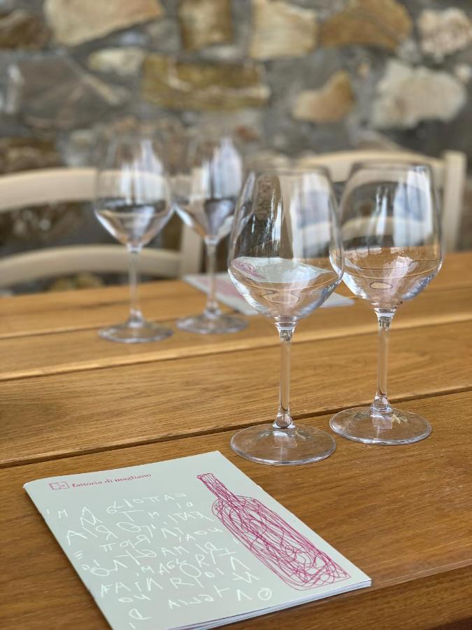 马利亚诺因托斯卡纳Fattoria Di Magliano Winery别墅 外观 照片