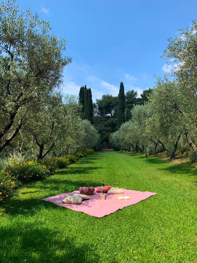 马利亚诺因托斯卡纳Fattoria Di Magliano Winery别墅 外观 照片