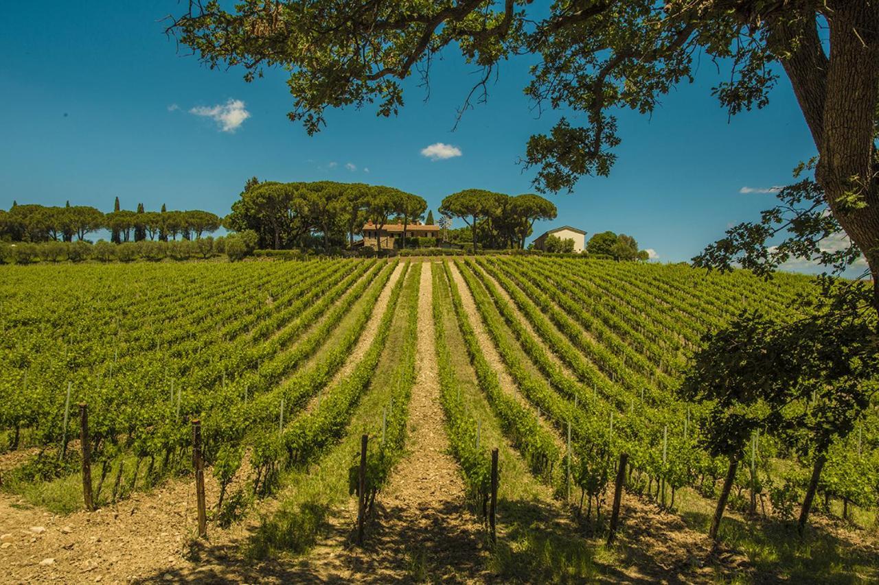马利亚诺因托斯卡纳Fattoria Di Magliano Winery别墅 外观 照片