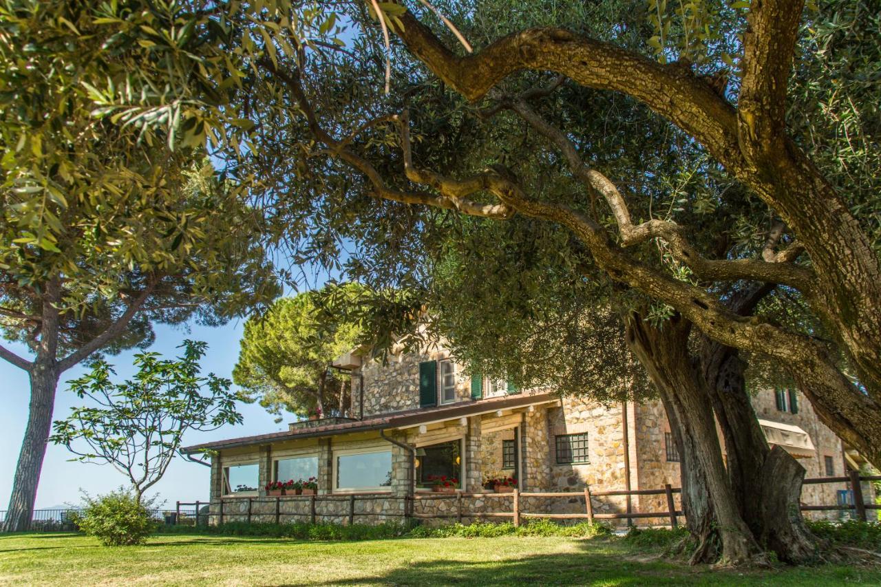 马利亚诺因托斯卡纳Fattoria Di Magliano Winery别墅 外观 照片