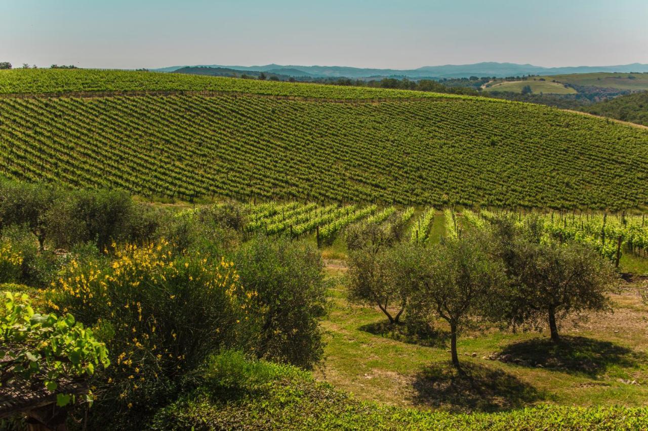 马利亚诺因托斯卡纳Fattoria Di Magliano Winery别墅 外观 照片