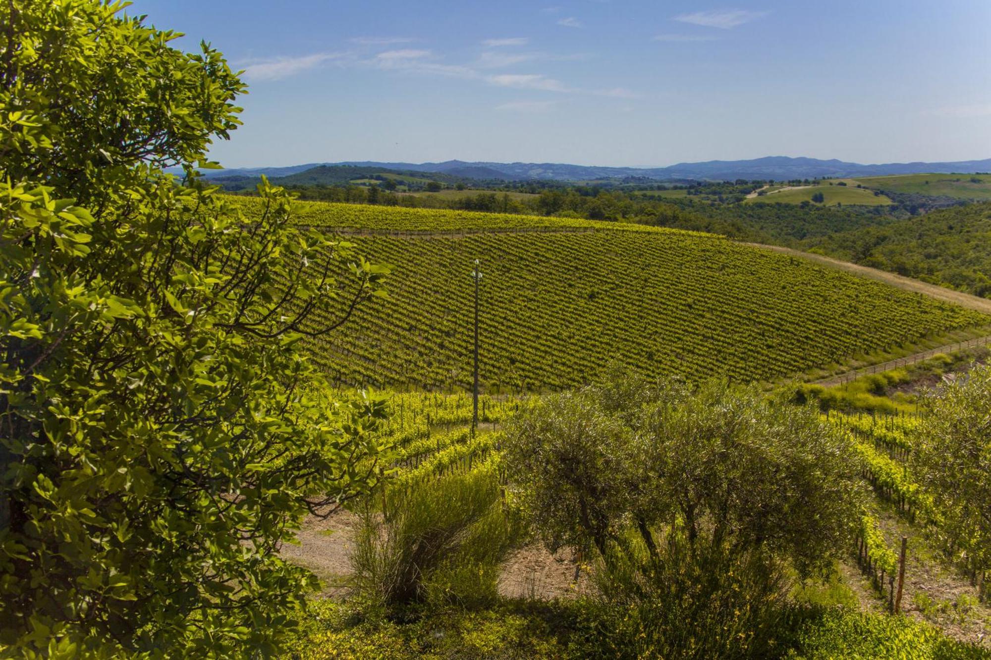 马利亚诺因托斯卡纳Fattoria Di Magliano Winery别墅 客房 照片